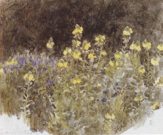 Helen Allingham,R.W.S Studies of Flowers (mk37) Sweden oil painting art